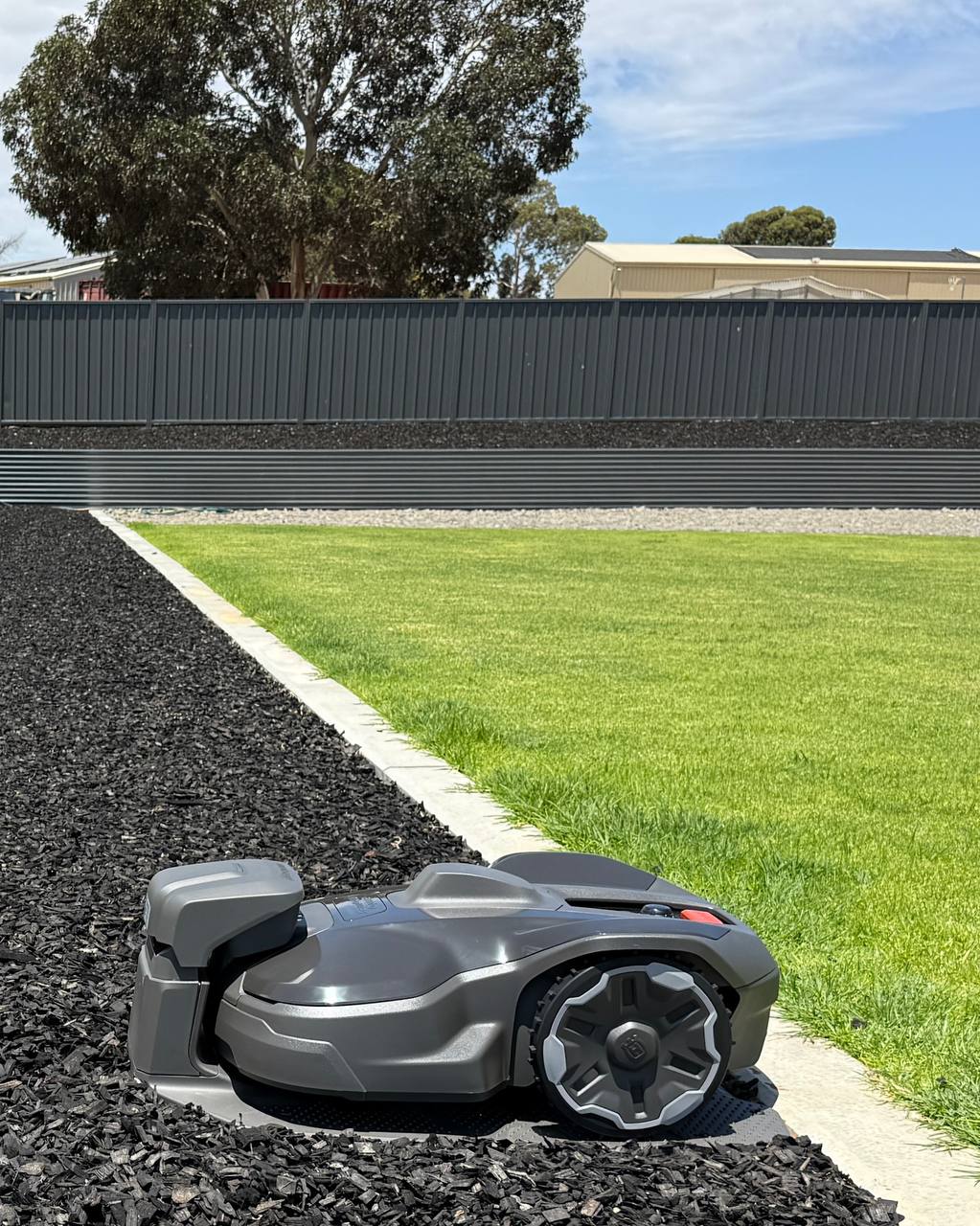 Husqvarna Automower 320 NERA on a grassy area with a fence and trees in the background in Murray Bridge-South Australia