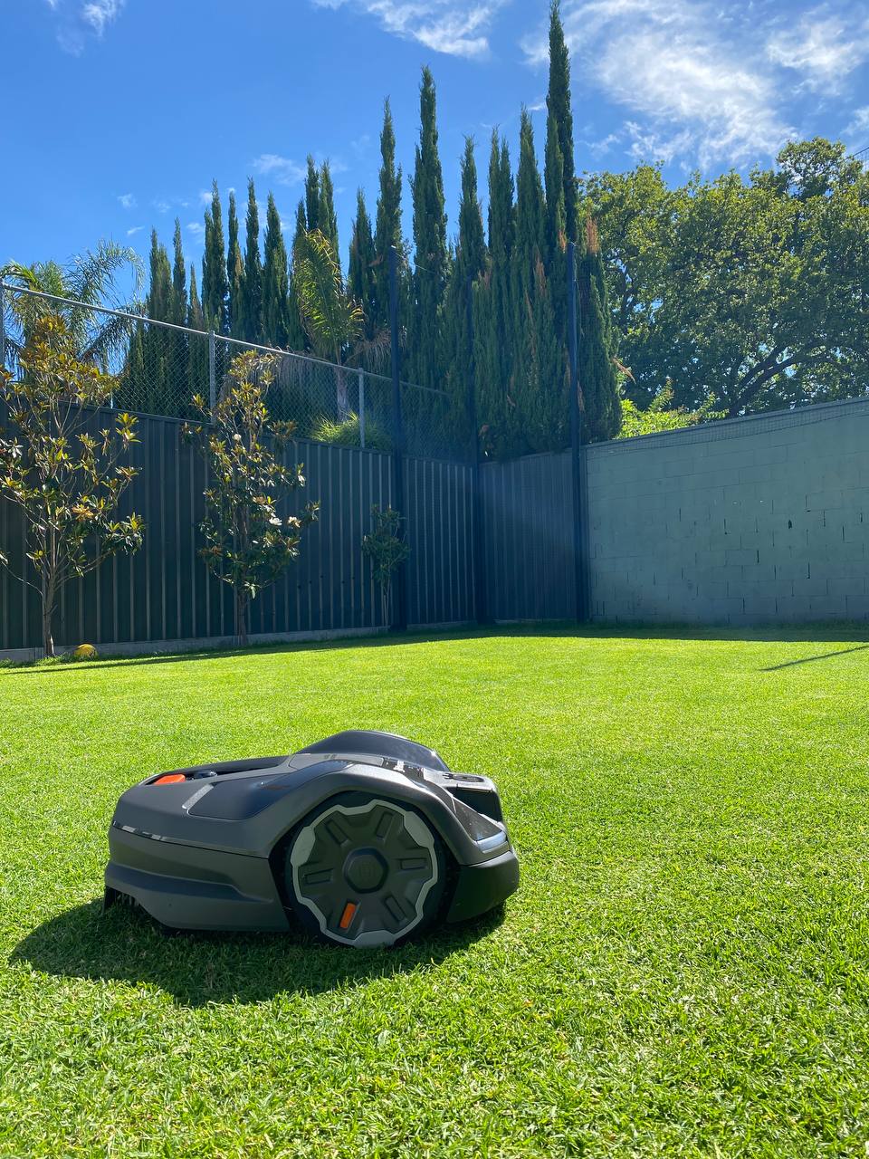 Husqvarna Automower 410XE n a grassy lawn with trees and a fence in the background in Medindie-South Australia