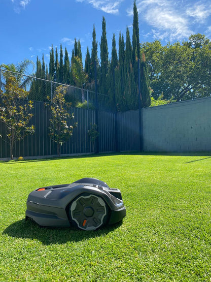 Husqvarna Automower 410XE n a grassy lawn with trees and a fence in the background in Medindie-South Australia